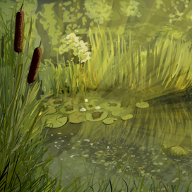 Черепашье озеро