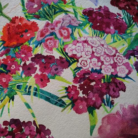 гвоздички и колокольчики