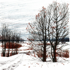 Зима в Завидово