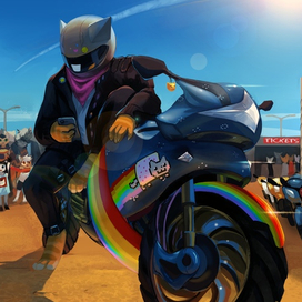 Котик-мотоциклист