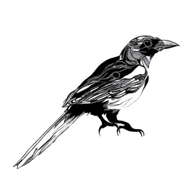 Обыкновенное существо с клювом