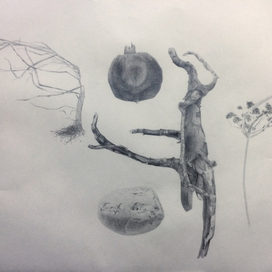 Космогония распада