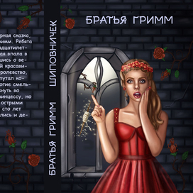 обложка для кинги