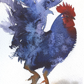 "Синий петух"