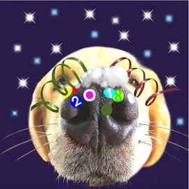 На носу новый год