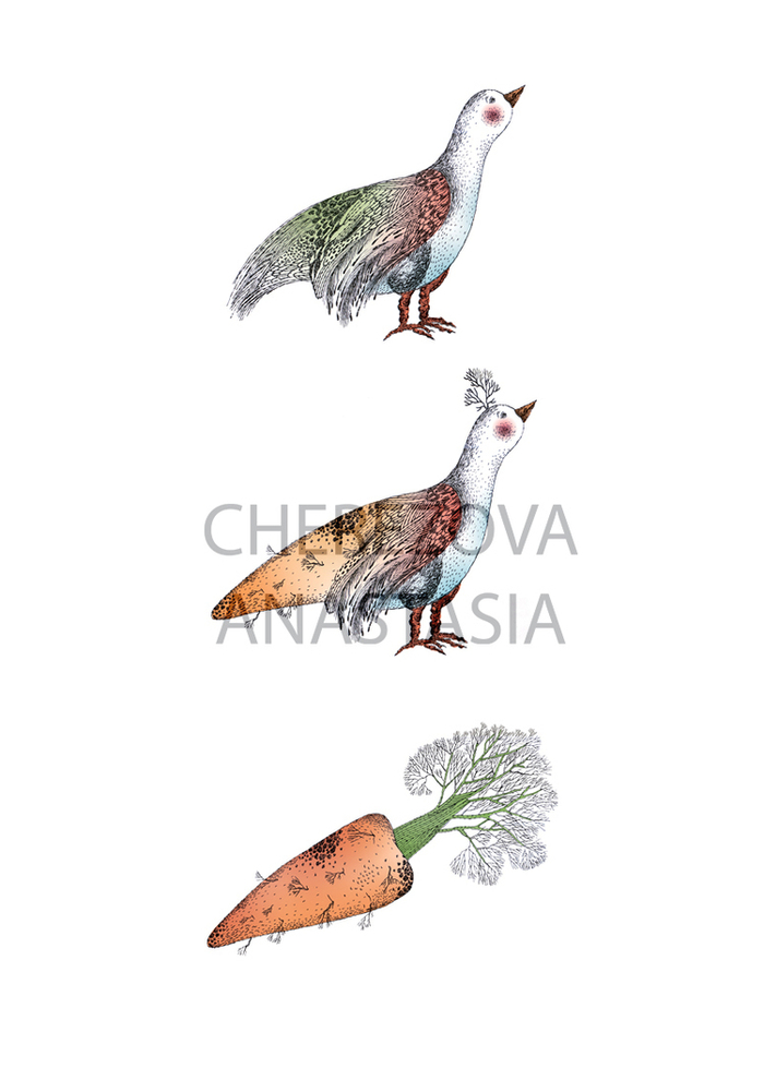 Серия "превращение"