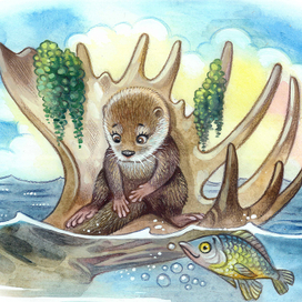 иллюстрации к книге1