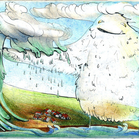 Кука - синоптик