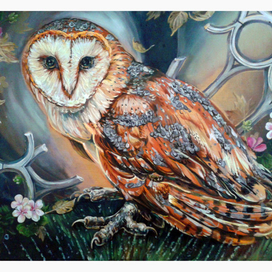 Сова-Меропида (хм, 40Х50, 2014) 