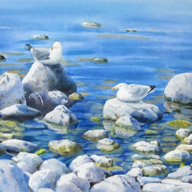 Чистые воды