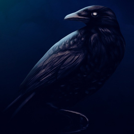 Raven