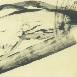 наблюдатель зимы