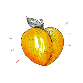 Давай отправимся вслед за огоньками ?