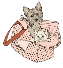 зверятки в сумке 