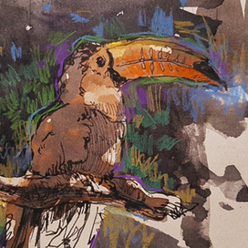 Скетч-тукан