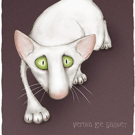 Кошка Марта