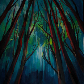 северное сияние