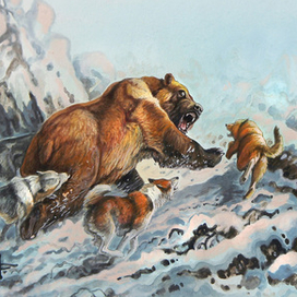 Медведь пошел...!