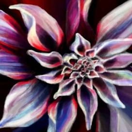 Астра | Нраффити