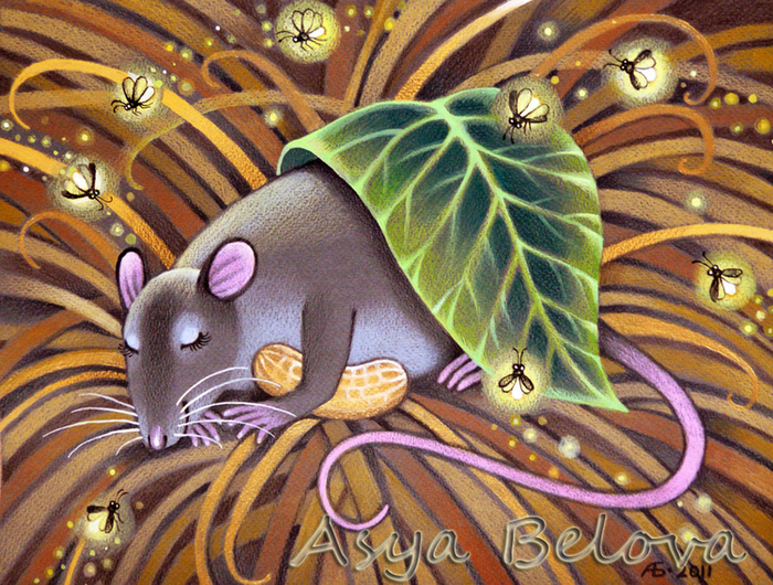 Спящая  крыска