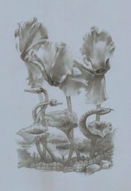 цветы над озером