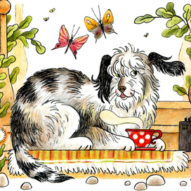 Кот Барбосный