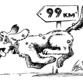 Для бешеной собаки 100 вёрст не крюк