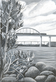 Иллюстрация к выборгским рассказам П.П. Строганова