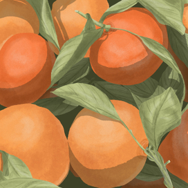 Мандаринки