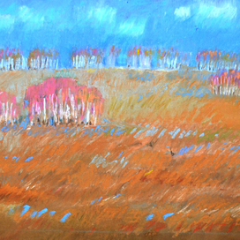 Снег сошел.