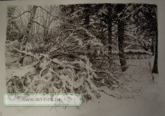 Зимний парк.