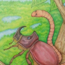 Сверху вид лучше!