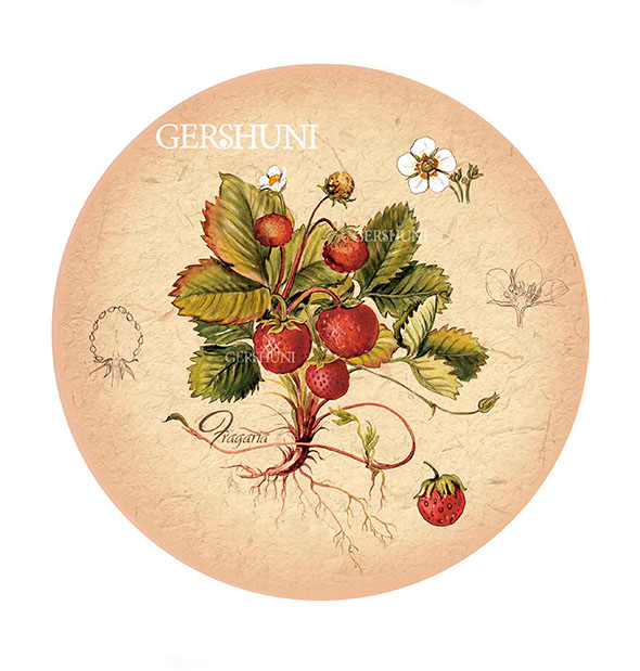 Ботаническая картинка