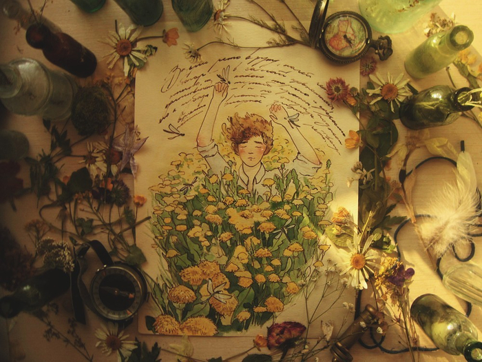 бальзам из солнечных лучей 