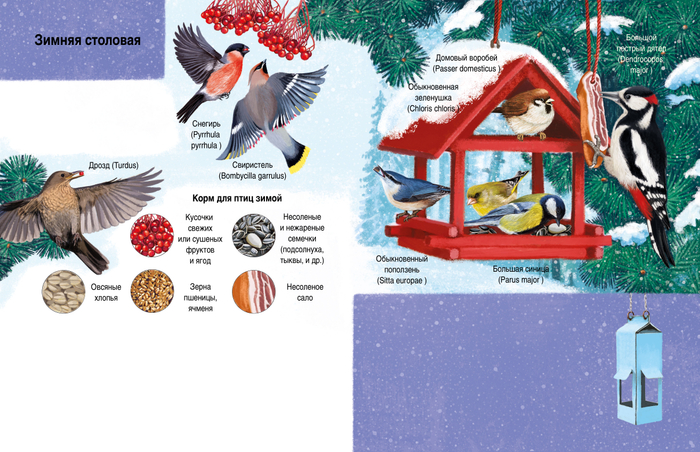 Зимняя столовая