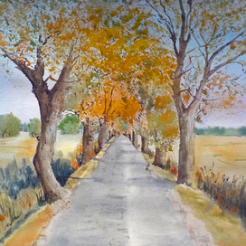 Дороги Калининградской области