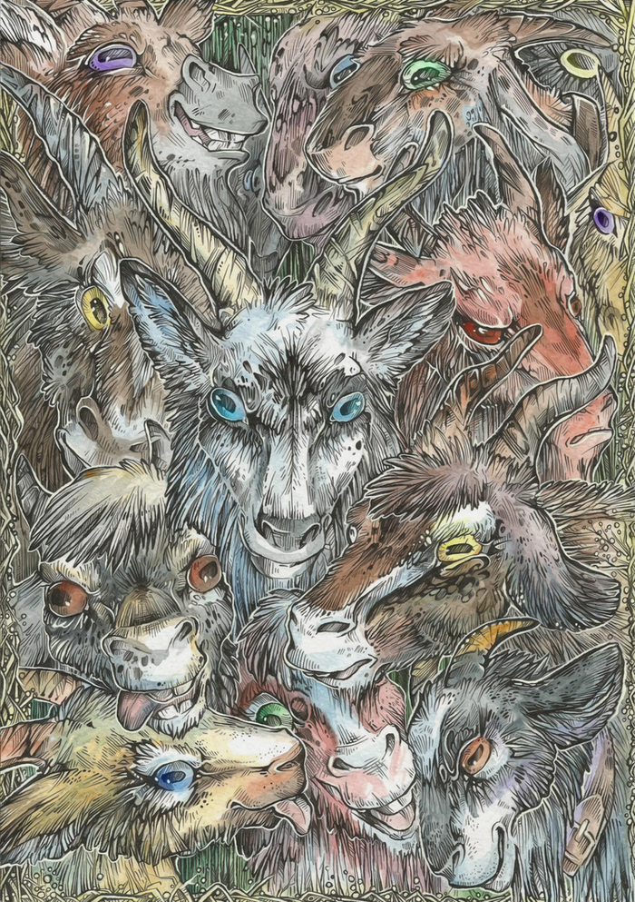 Сколько здесь морд? =)