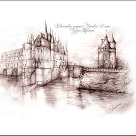 Замок Шенонсо