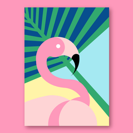 Тропические птицы - Фламинго