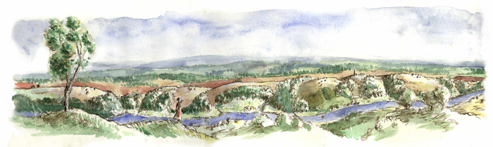 иллюстрация для сайта 