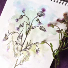 Чертополох