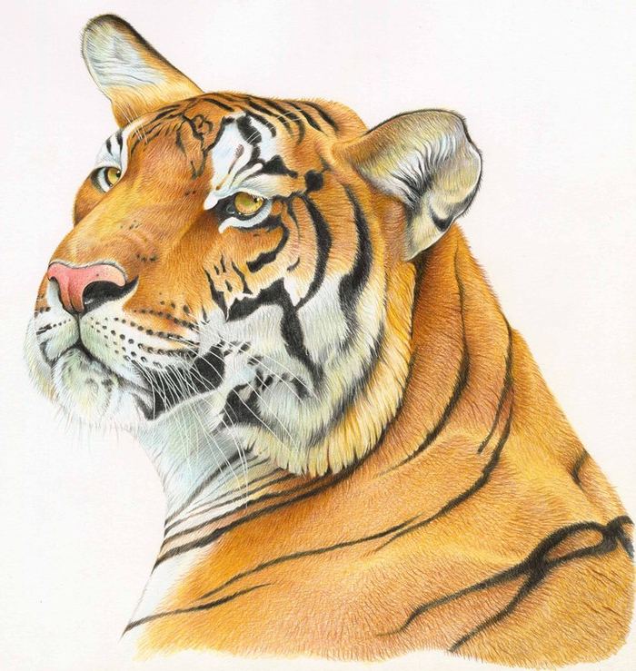 Календарь. Август