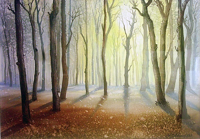 Утренний свет.Пробуждение леса.