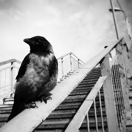 Не могу придумать название...