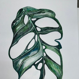 Ботаническая живопись