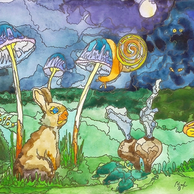 Ночь в лесу