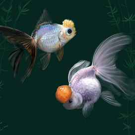 Золотые рыбки