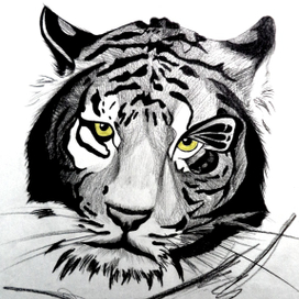 "тигр"