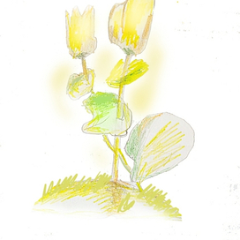 И у дороги желтые цветы... 