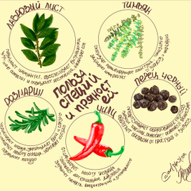 Серия иллюстраций "Польза специй и пряностей"